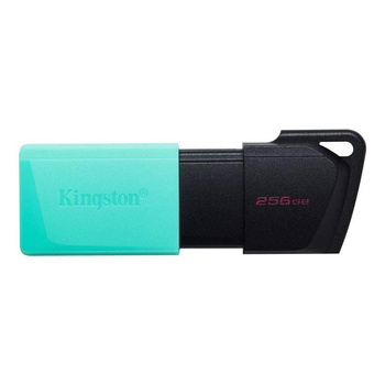 Kingston - 256 GB USB Flash disk 3.2